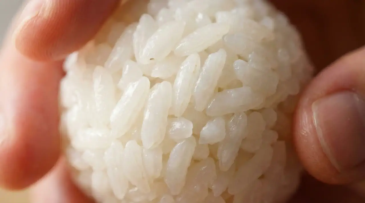 Rice Texture
